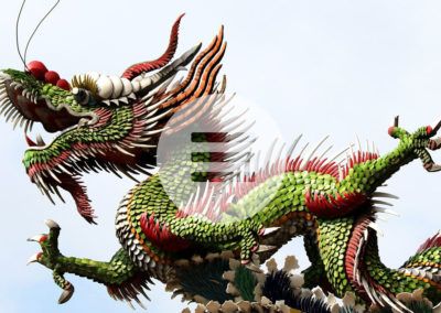 Krebstherapie – Claw of Dragon – Kralle des Drachens