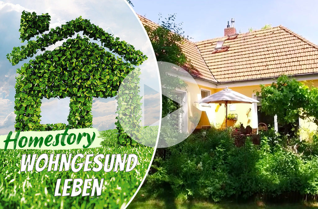Homesstory: Renneberg – Aus grau mach grün